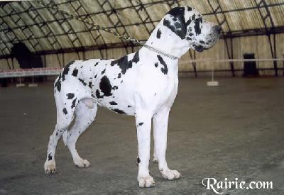 Tresor Des Terres De La Rairie