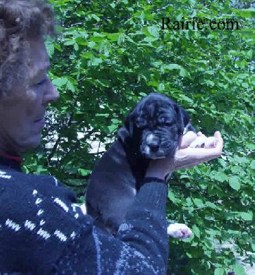 Tolkien Des Terres De La Rairie