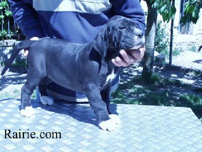 Tolkien Des Terres De La Rairie