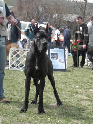 Triumph Des Terres De La Rairie