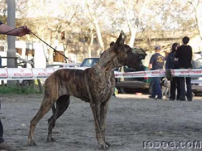 Trophy Des Terres De La Rairie