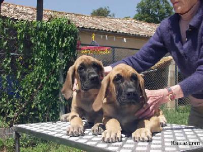 Thesys Des Terres De La Rairie