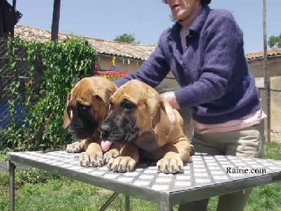 Thesys Des Terres De La Rairie