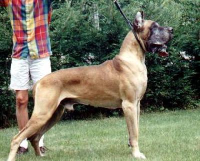 Jadis Des Petites Vernieres