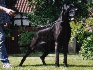 Kaleefa Von Haus Tiefenbach