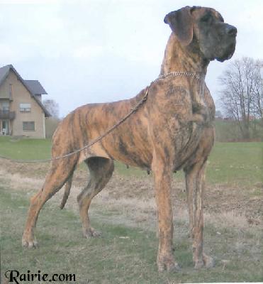 Ornella Von Der Horst