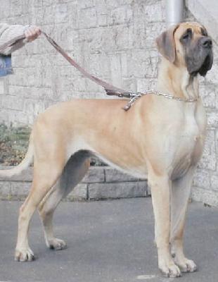 Paola Du Val De L�amitie