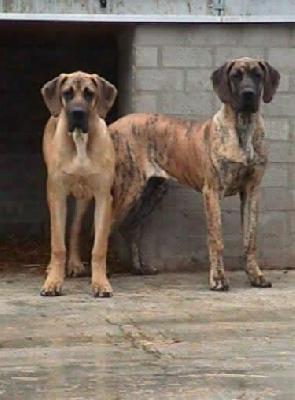 Didi V.t Oenselerheem