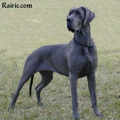 Fussel Von Himmelkron