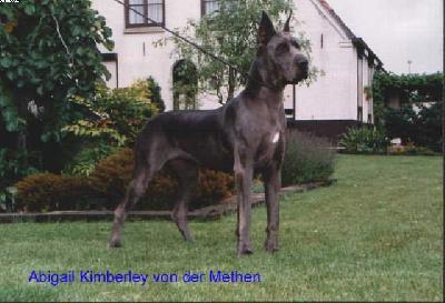 Abigail-kimberley Von Der Methen