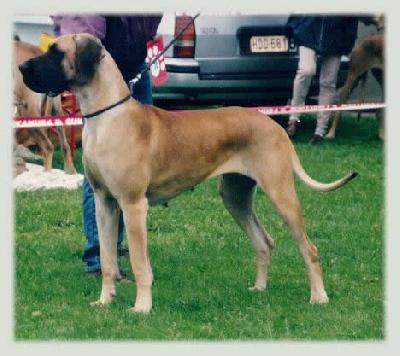 Pioline V.�t Oenselerheem