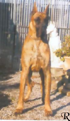 Oufkir De La Pierre Du Roy