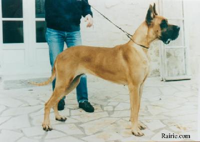 Lune De Miel De La Pierre Du Roy