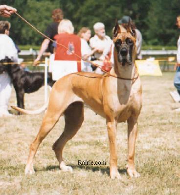 Ch Iona Des Terres De La Rairie