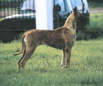 Osmose Des Terres De La Rairie