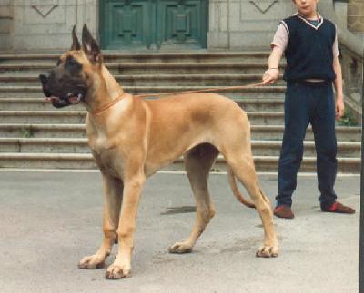 Ch Sand Jack Des Terres De La Rairie