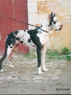 Ch Famulus Des Terres De La Rairie