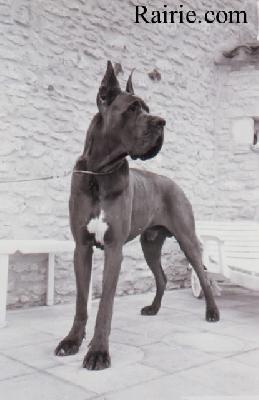 Ch Gess Des Terres De La Rairie