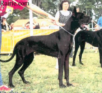 Ch Ianka Des Terres De La Rairie