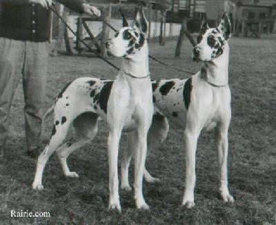 Harmony Von Philosophenwald