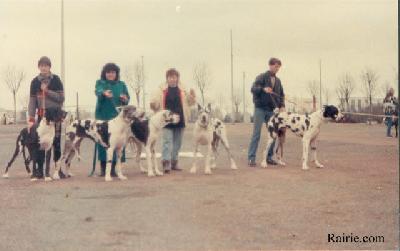 Ch Antinea Du Domaine De L�empereur