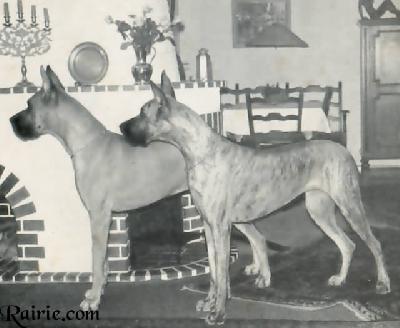 Ch Karina Von Schloss Dellwig