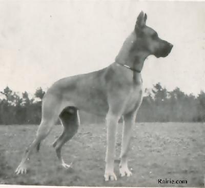 Ch Cathal Von Der Irminsul