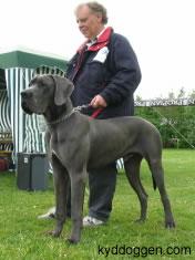 Fussel Von Blue Ground