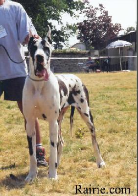 Naehma Des Apollons De La Pile