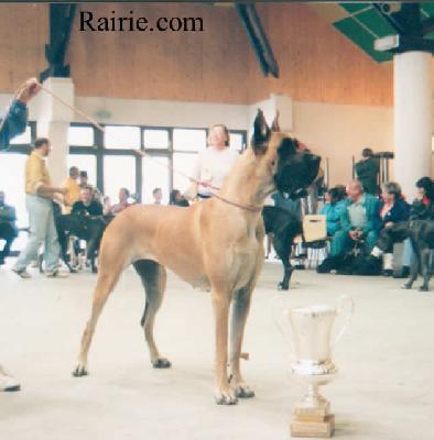 Ch Jet Set De La Pierre Du Roy