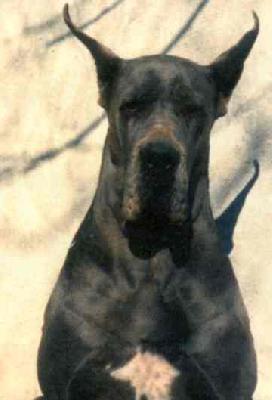 Cassiopee De La Benjamine