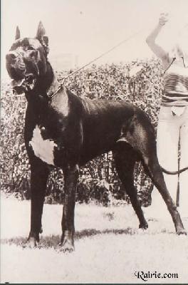 Volces Du Domaine De L�empereur