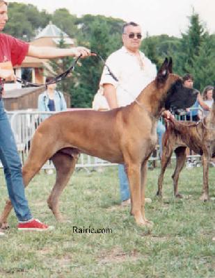 Ch Geblut Des Terres De La Rairie