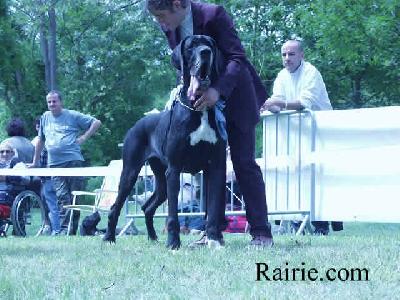 Roxane Des Terres De La Rairie