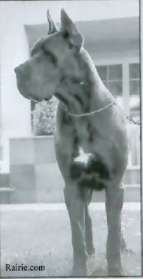 Ch Argos De Vega De Alcotanes