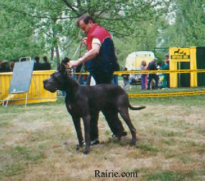 Ch C�kim Du Temps Qui Passe