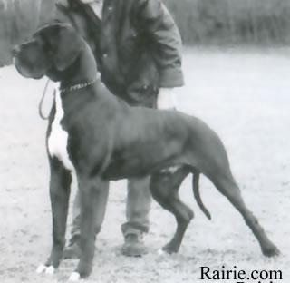 Ch Wigo Von Der Nrburg