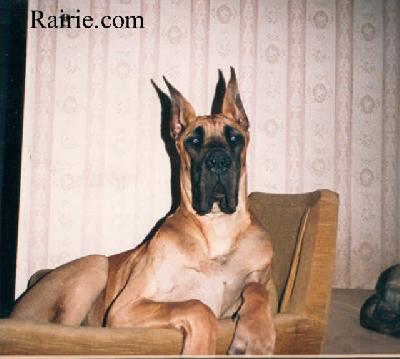 Veggan Des Terres De La Rairie