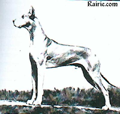 Elch Edler Von Der Saalburg