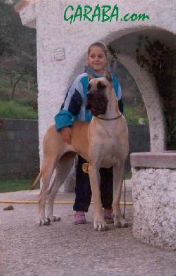 Go On Des Petites Vernieres