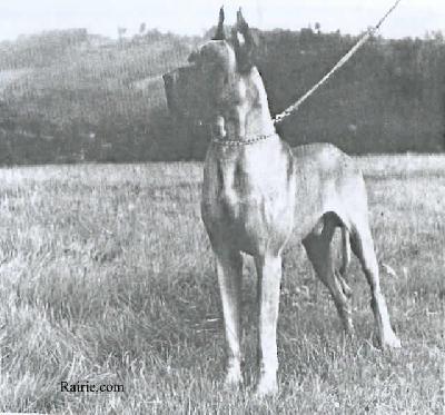 Ch Bauchan De Izarraitzpe