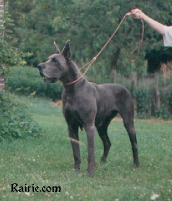 Ch Faritchou Des Terres De La Rairie