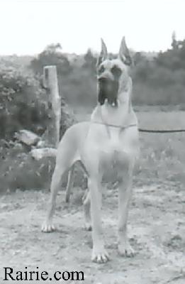 Ch Genia Des Terres De La Rairie