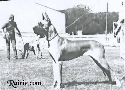 Ch Genia Des Terres De La Rairie