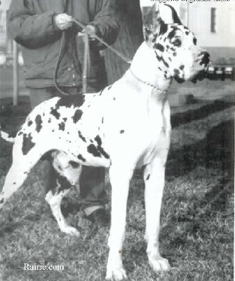 Cesar Des Gorges De Franchard