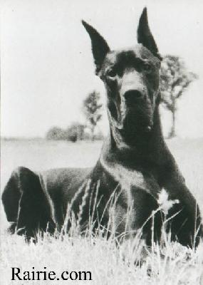 Nemo Du Val De Lamitie