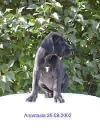 Anastasia Vom Teuchelwald