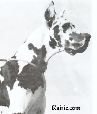 Junga De Mourre Frais