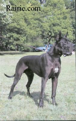 Ch Ramon Des Terres De La Rairie