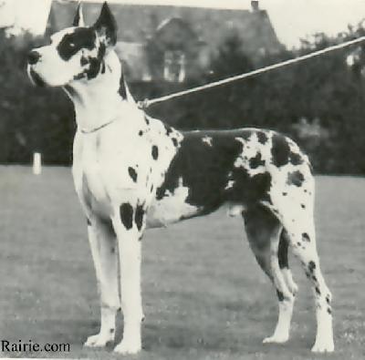 Vauxhall Van De Brentjes